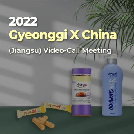 2022 Gyeonggi X China (Jiangsu) Video-Call Meeting 